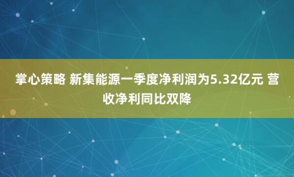 掌心策略 新集能源一季度净利润为5.32亿元 营收净利同比双降