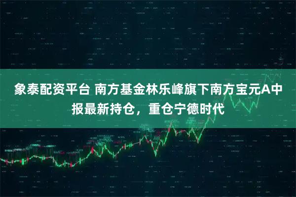 象泰配资平台 南方基金林乐峰旗下南方宝元A中报最新持仓，重仓宁德时代